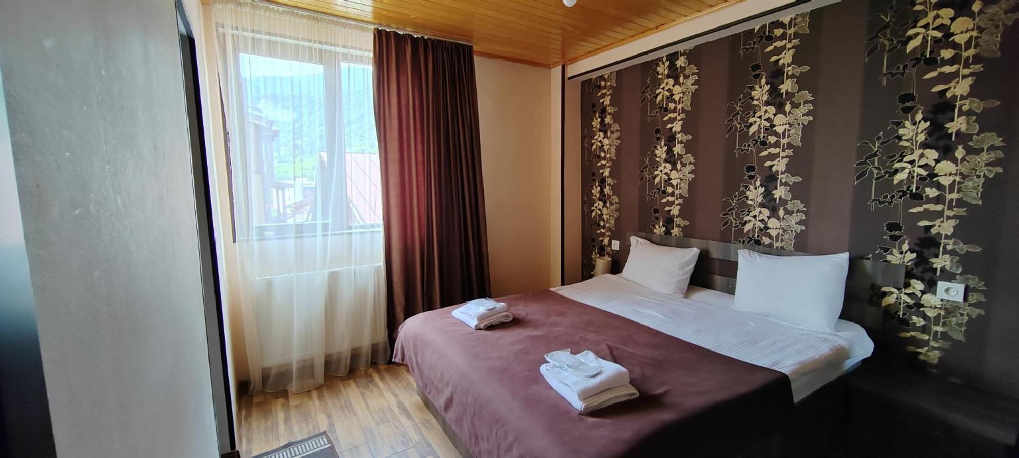 Hotel Svanseti 梅斯蒂亚 外观 照片