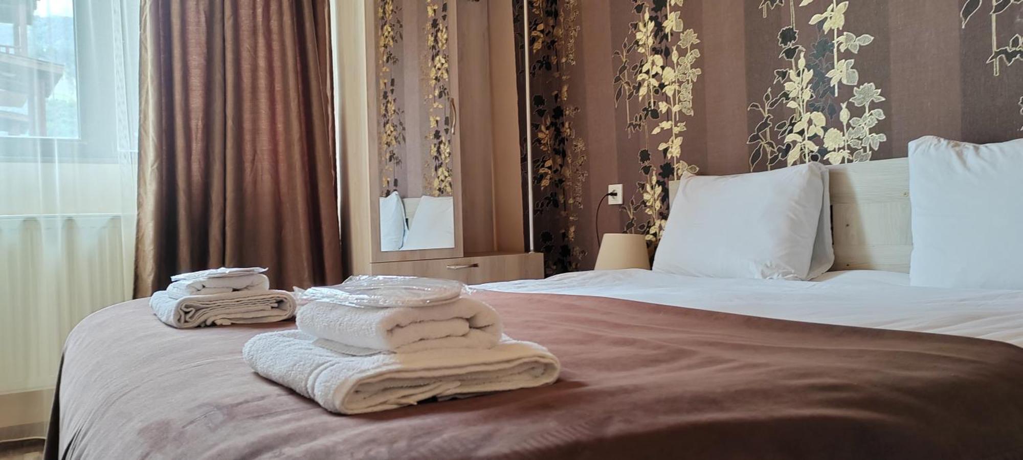 Hotel Svanseti 梅斯蒂亚 外观 照片