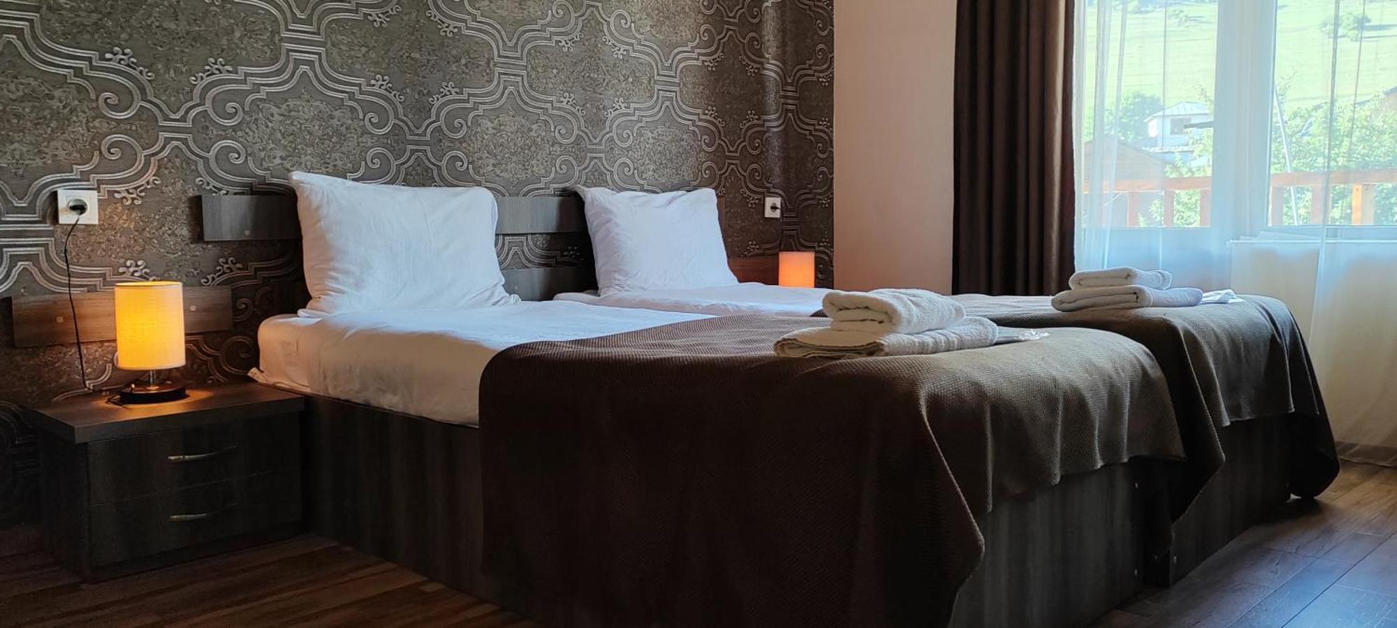 Hotel Svanseti 梅斯蒂亚 外观 照片