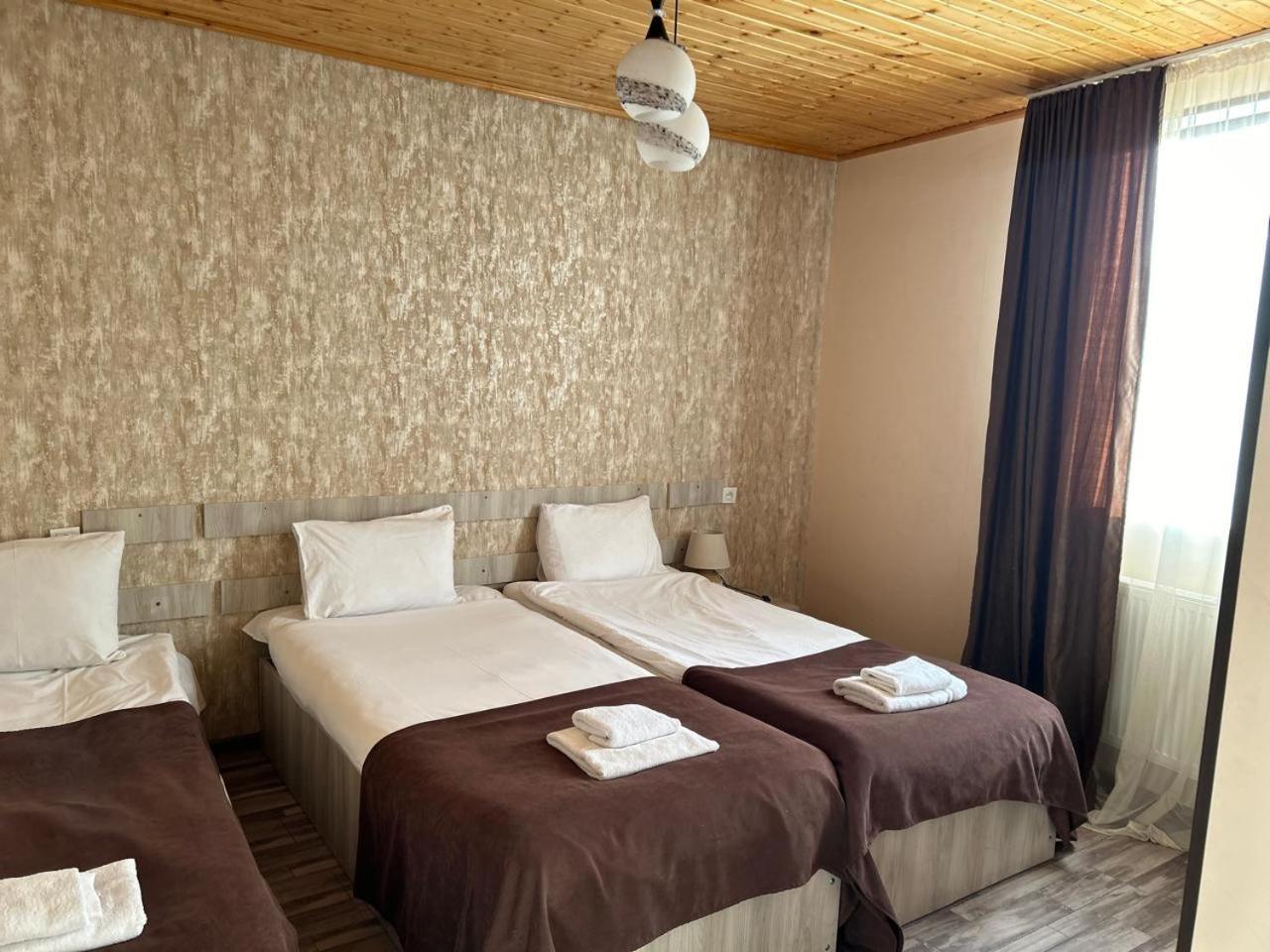 Hotel Svanseti 梅斯蒂亚 外观 照片