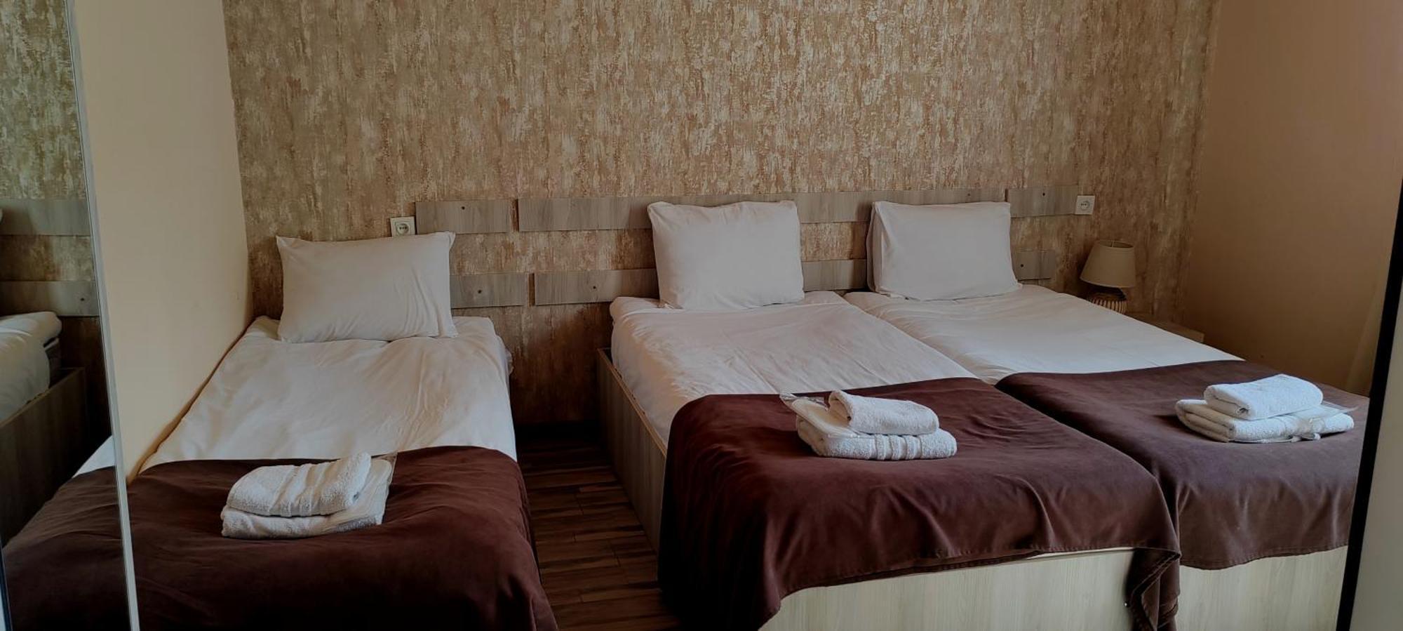 Hotel Svanseti 梅斯蒂亚 外观 照片